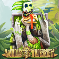 Wild Turkey